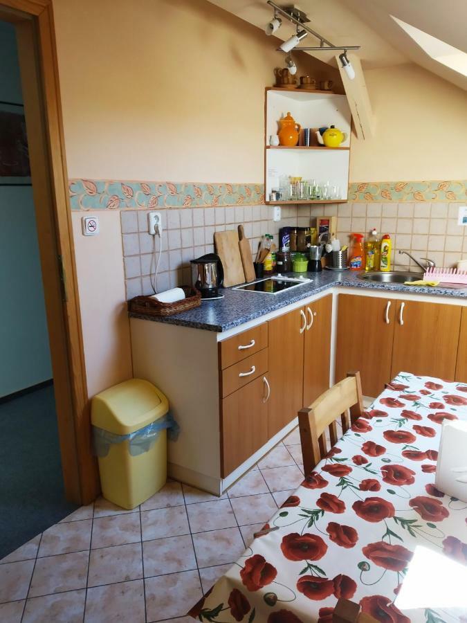Ubytovani Poustka Франтішкови-Лазнє Екстер'єр фото